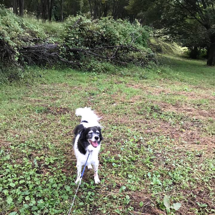 E0da1ff9 7a1d 4c93 834e 53ecef352b00 1537884904833