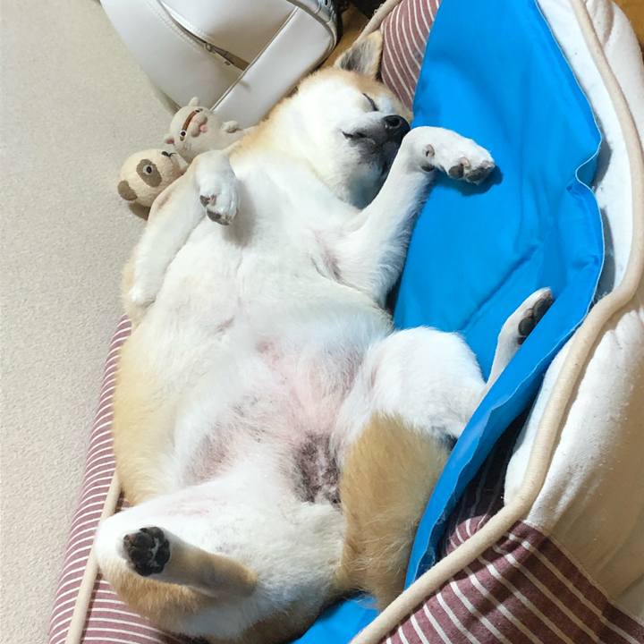 E0da23c6 182c 4440 8143 0a69d98b4093 1601120305332