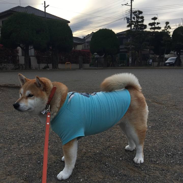 E0da3f05 4f86 4a76 9da3 d5a1120b63d5 1554971018900