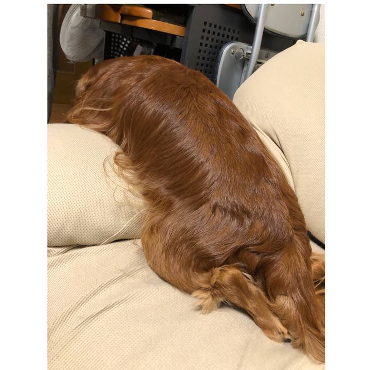 E0da53f1 64ac 4724 870c fc26d47e2e44 1602166725122