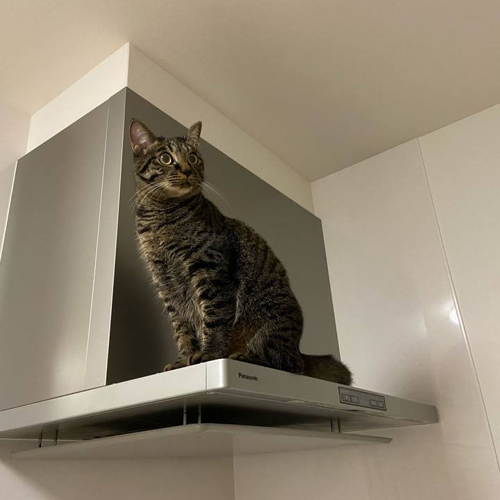 E0db1278 5fc0 4465 8ccb 260bd650fa0d 1630242041116