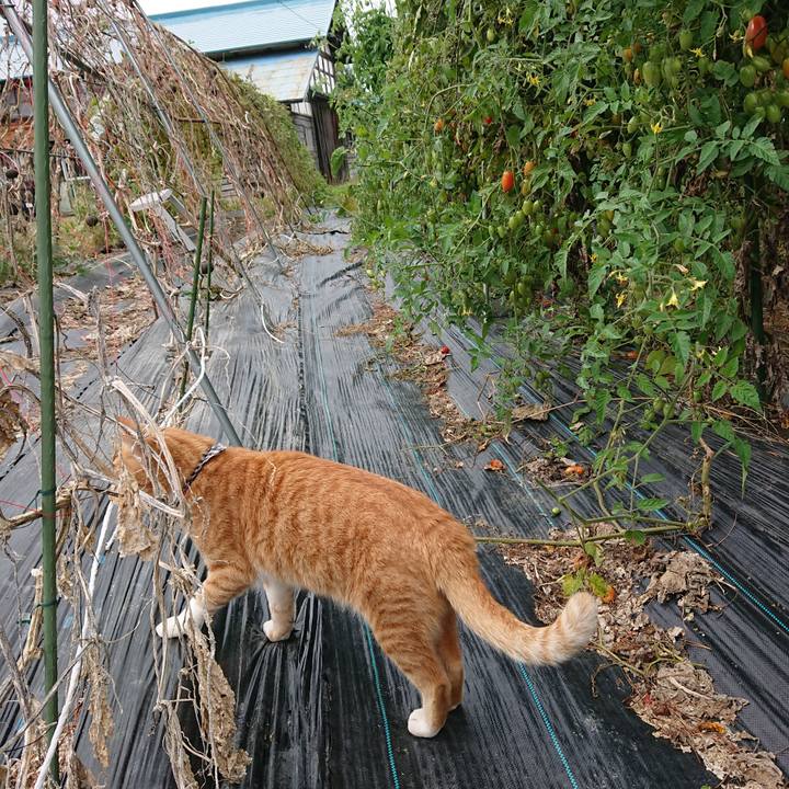 E0db3b22 e94a 4916 9e18 8b391b188629 1571545134041