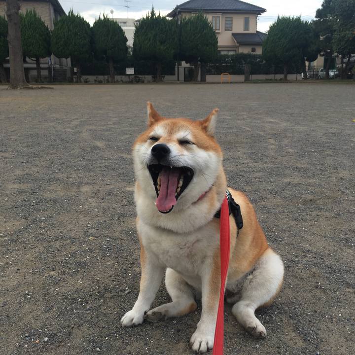 E0db70a6 e49a 4fe1 abbd ee24f732fe82 1600385524581