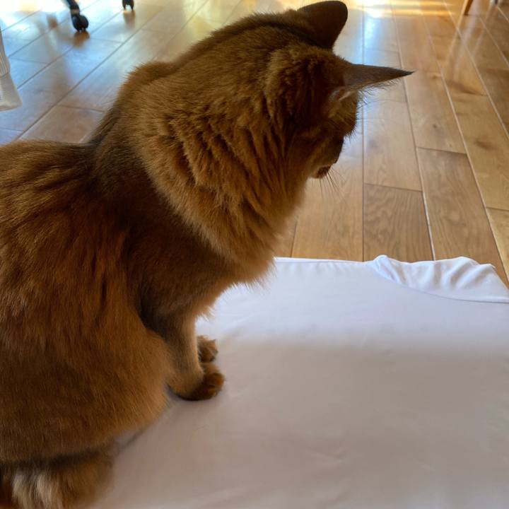 E0dbbfbc 533d 4cc8 8ea1 28bc0dc44629 1674611118608