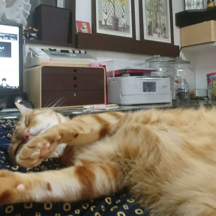 E0dbd8ab 0f64 42dc 872f 22190d3f4cdd 1527251657844