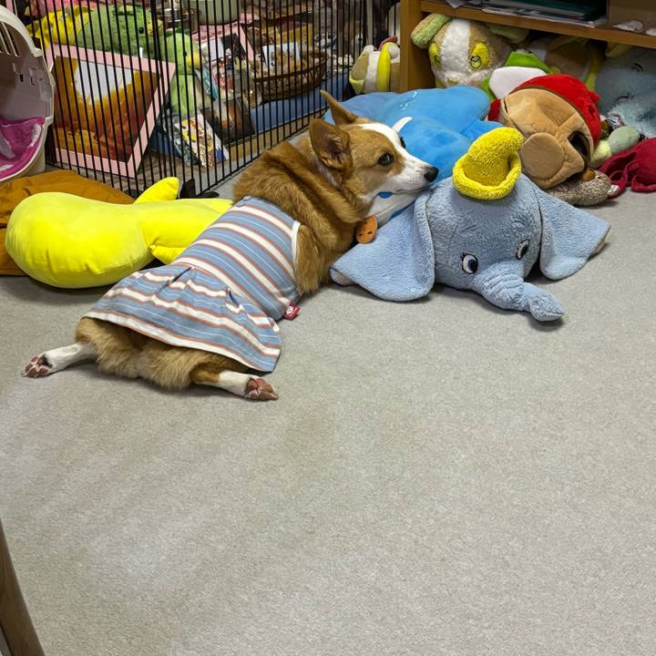 E0dbd8d6 b292 4ef6 a492 934bbe699b1f 1757597549766