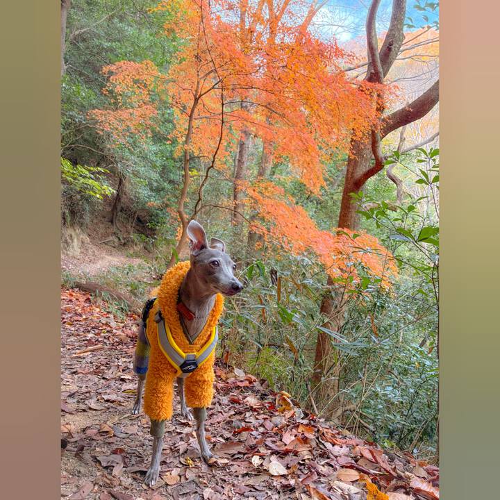 E0dbea99 6d52 4e3a 9017 6cc54afb6e00 1765881687451