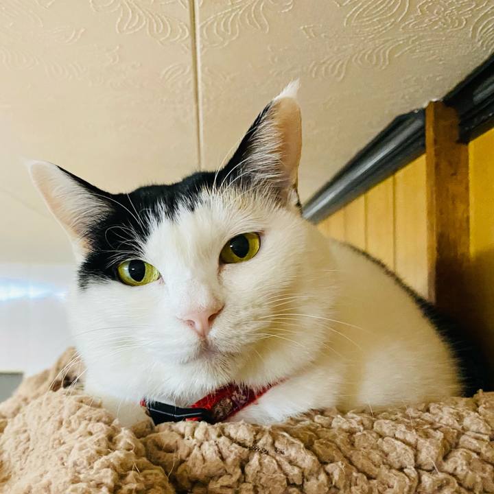 E0dc21f2 fb3e 460f 85a7 643e0b57ac78 1699828173900