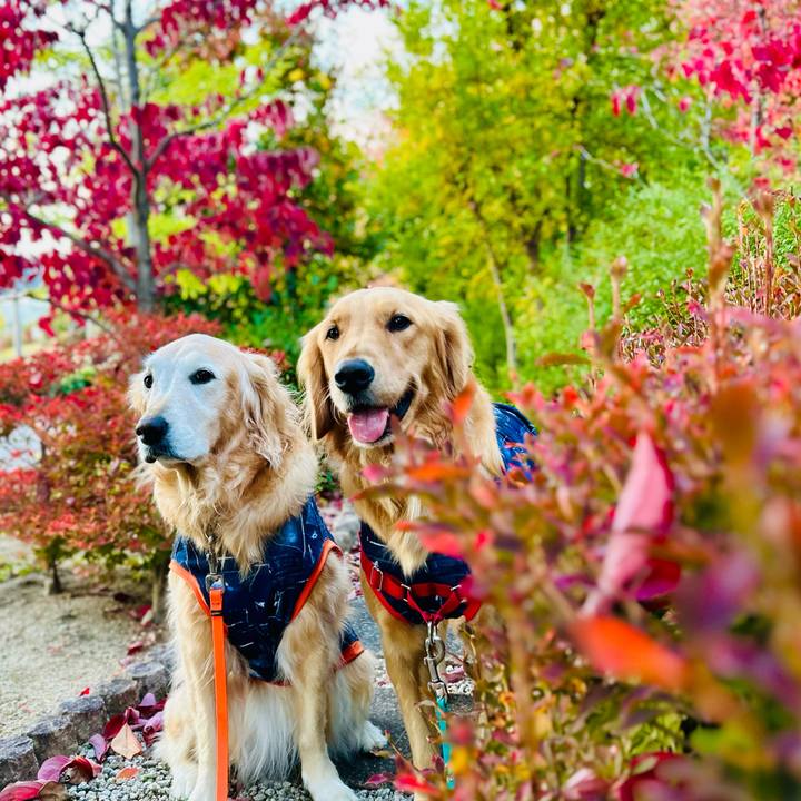 E0dc3003 7645 4333 92df 512f6dddb193 1763457536340