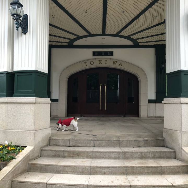 E0dc514e c388 4c85 9243 194f9a3bd255 1604444212226