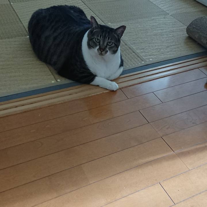 E0dca021 dcb4 4b02 a4fa eba3cefc6635 1570067863159