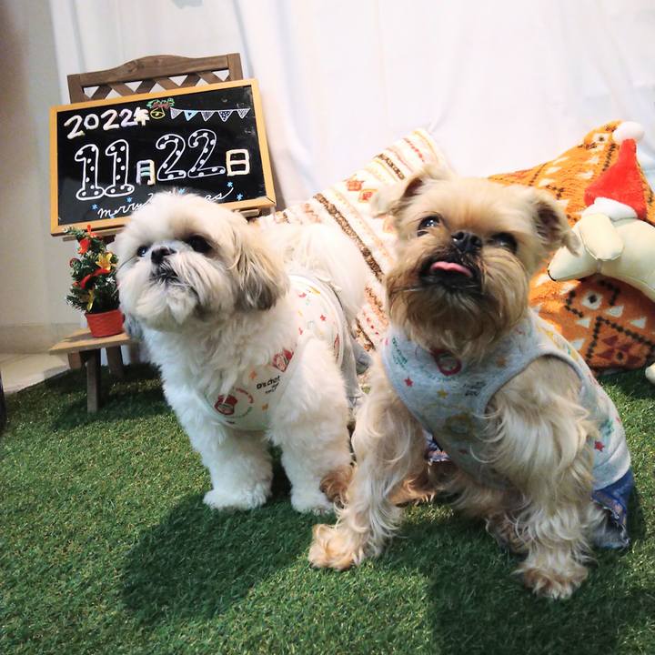 E0dca907 a64e 4a29 af56 6b16f21341da 1669202138328