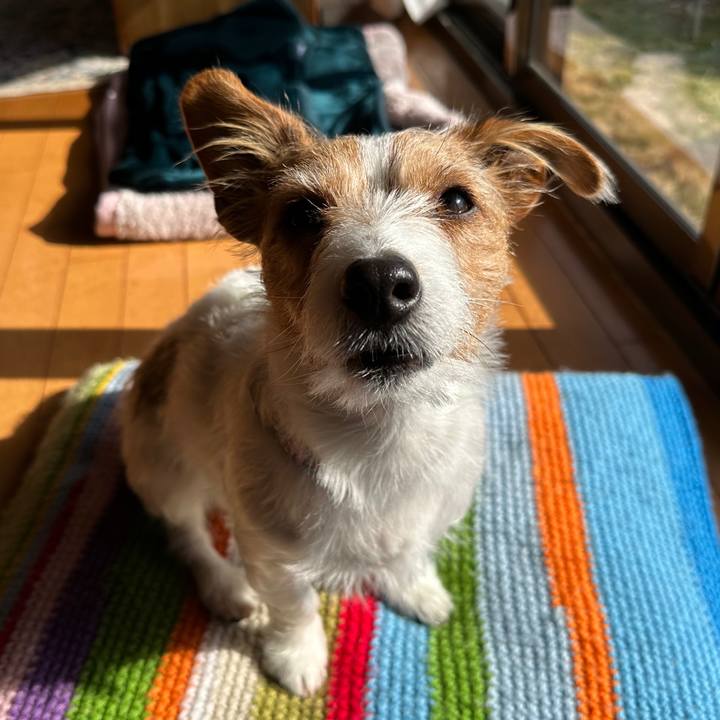 E0dceb5b f26e 4699 b8c3 0fa7da90d4bb 1767150999116