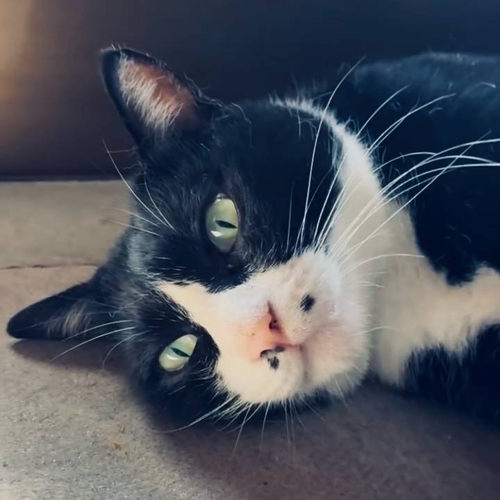 E0dcf6f5 6d89 4524 8928 70442c83070e 1758686284080