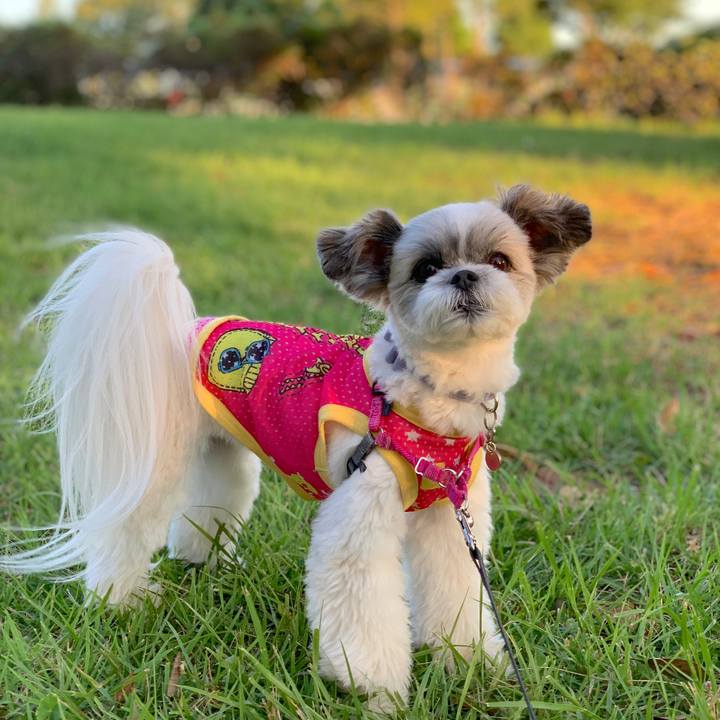 E0dcfb80 8095 4c07 8754 76550fe17874 1565763837572