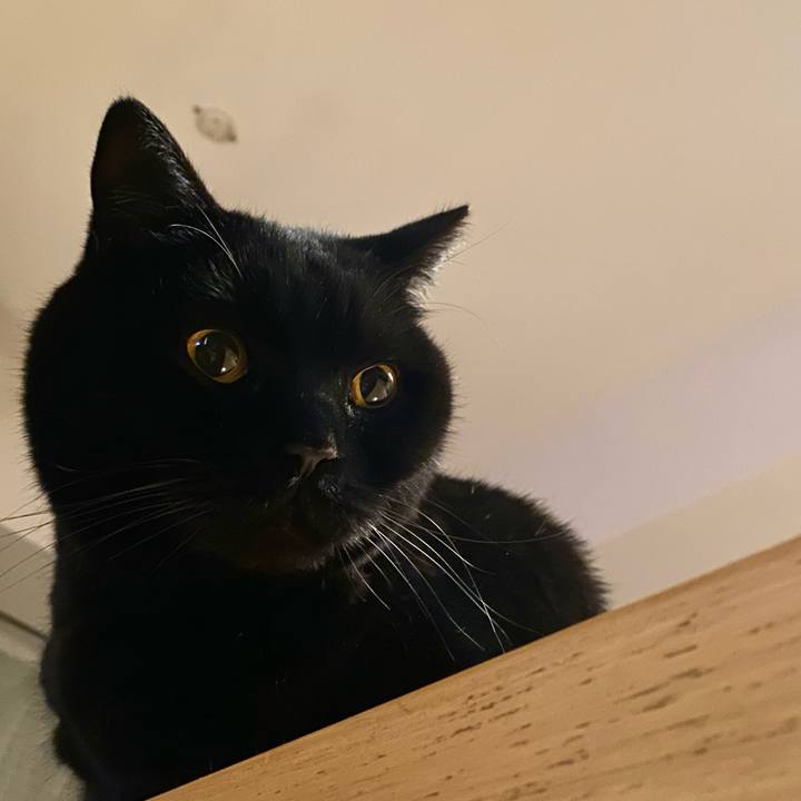 E0dcfedd d38a 4ad0 82b6 2e7faf8509bd 1711371594618