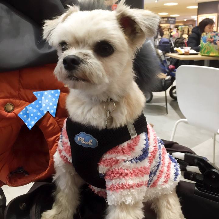 E0dcfff4 e1dc 426e 932a 6c41bfd050c1 1548584439839