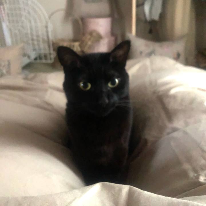 E0dd47ed b6e5 4ad6 aba1 36b97d03d55b 1615254852619