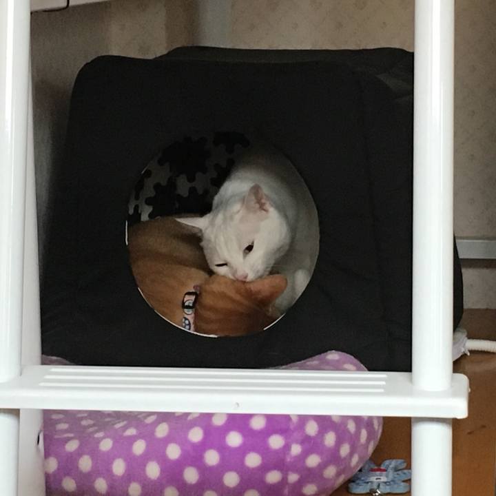 E0dd8f71 6009 4373 9e0f 0561f2b0b47b 1552180763907