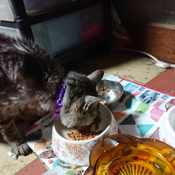 E0de02f5 4ece 438f bc4b 66a9ddd17466 1593986560764