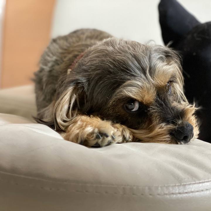 E0de12ba 901d 4c94 b87f 2328a6fdb61c 1580636352284