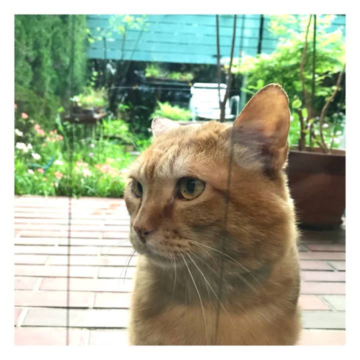 E0de1c1a 9a79 49b4 83df 6b4feabada42 1652140207638