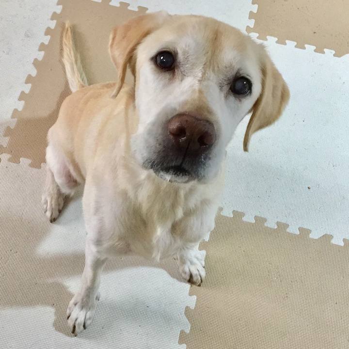 E0de412d 2ee2 468c b6f2 23a9ea191fb2 1571569246524