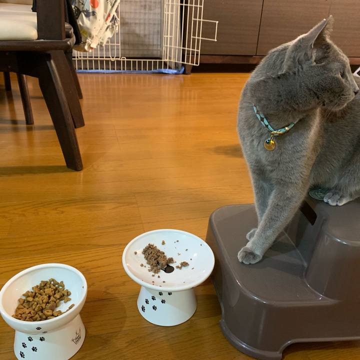 E0de455e 0bee 4051 9ff3 ea1a978c6ea5 1652095792479