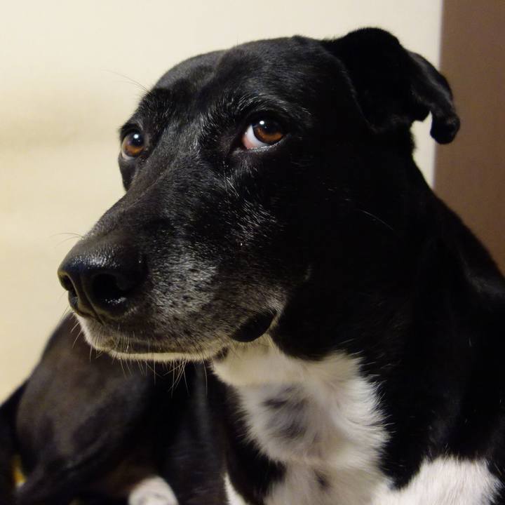 E0de4663 5851 44a7 81f4 58dd672b6709 1730071222486