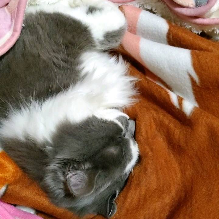 E0de5269 24ab 4c6a bf90 814b08b2428c 1587338144219