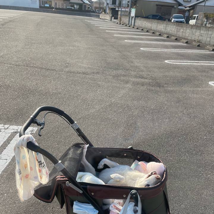 E0de5f49 8b5d 4aa6 9b86 9a370be6f5b1 1678183748432