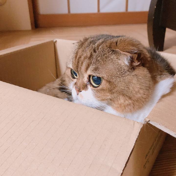 E0de8b49 500a 49d0 8217 2dae6b1225fc 1561897230584