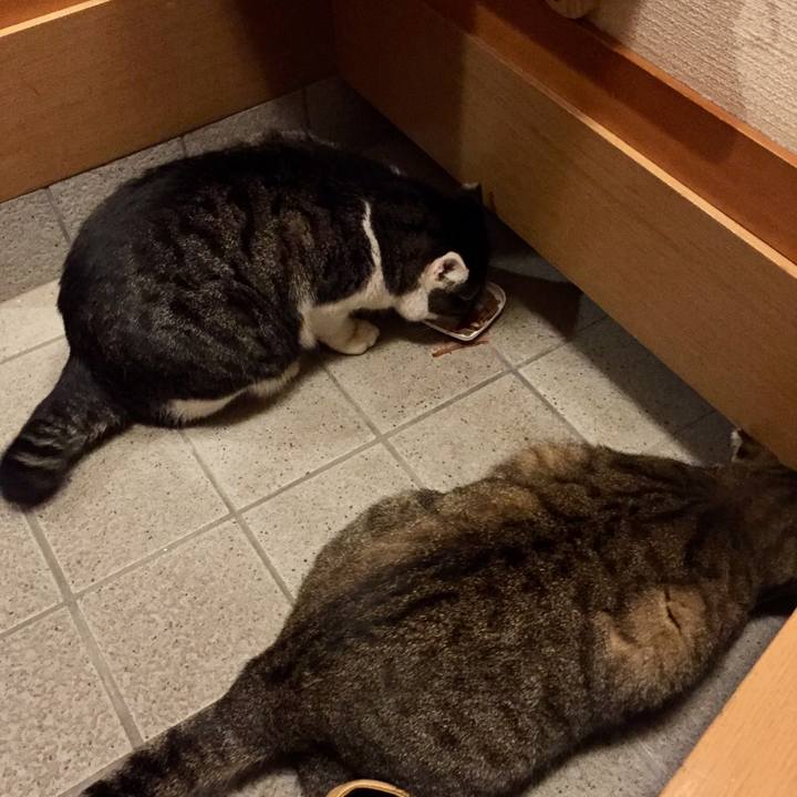 E0deade3 ec9d 482b b66e 6f5c697a4836 1509075473510