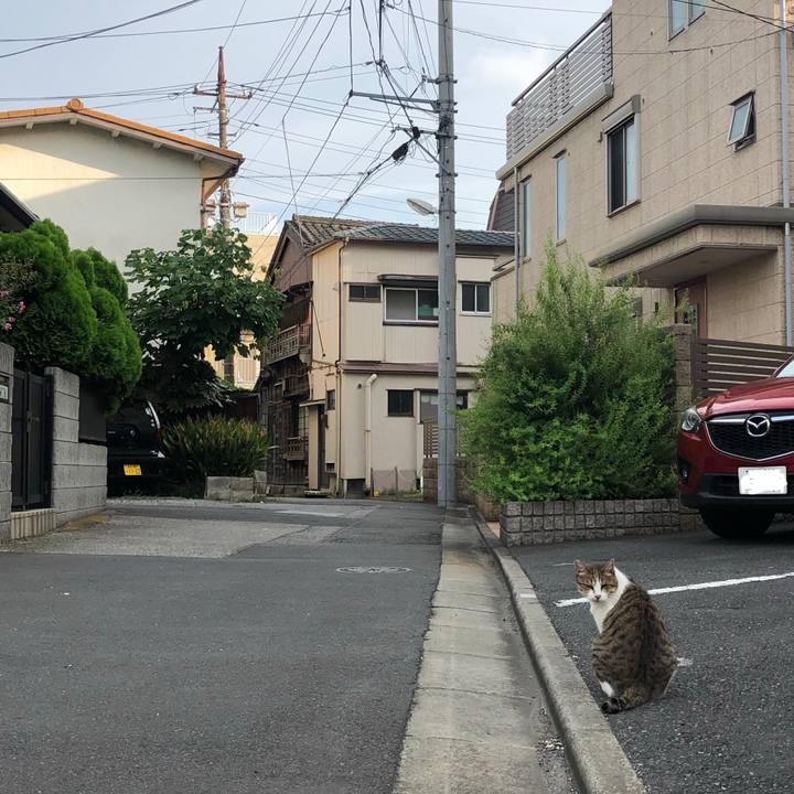 E0deb379 acb0 4faf 9220 8b496cb1c0b1 1566718485289