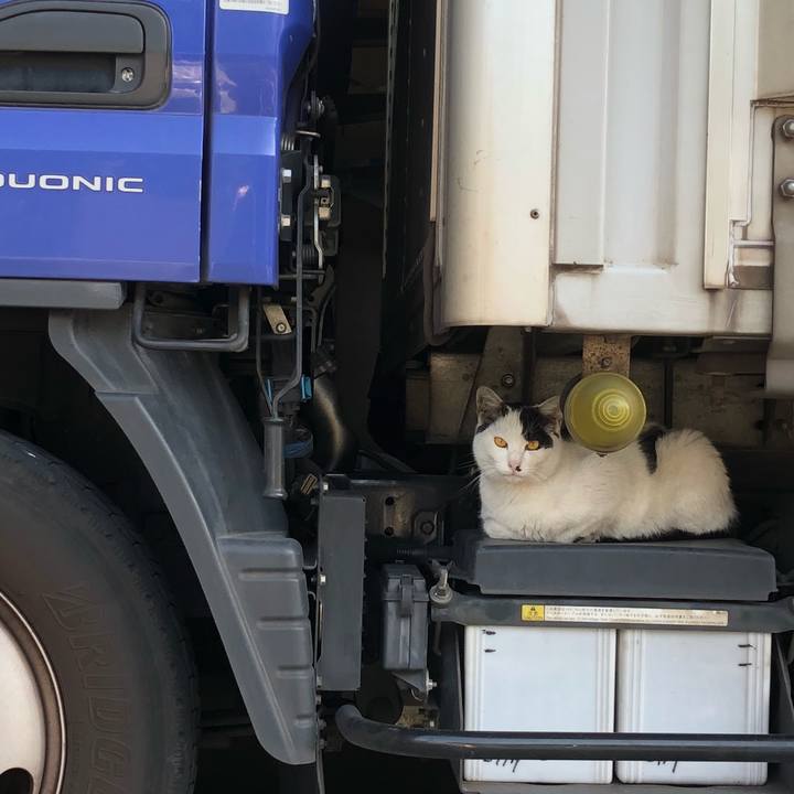 E0ded880 fada 4e09 b3f8 778ef7a63c2d 1524127460161