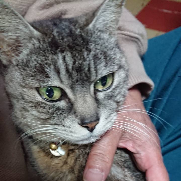 E0dee397 1a46 4c70 9513 88f992971fc5 1554718650977