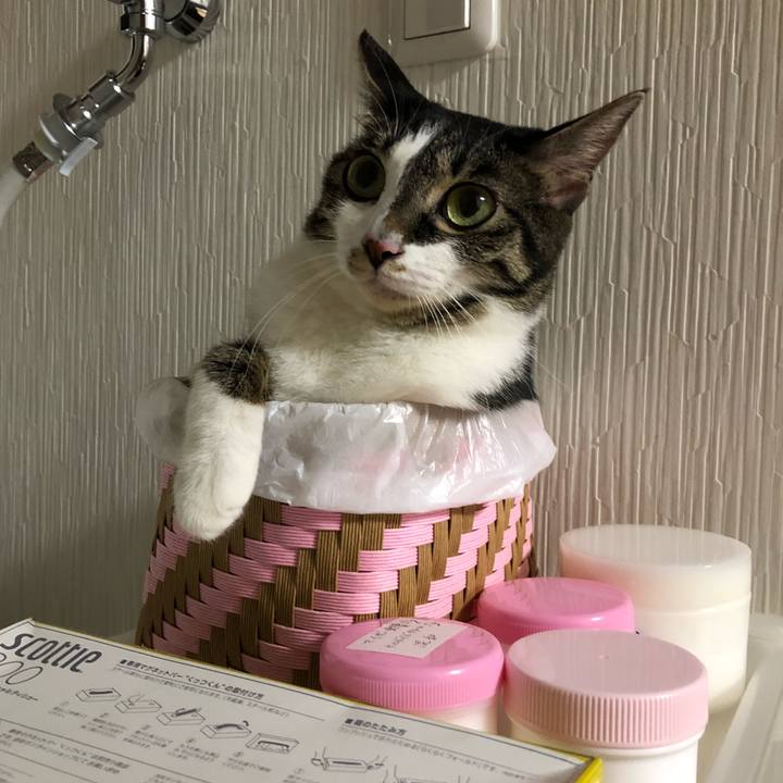 E0df0158 aa30 4375 9ee2 e0cffbfe7557 1535058289376