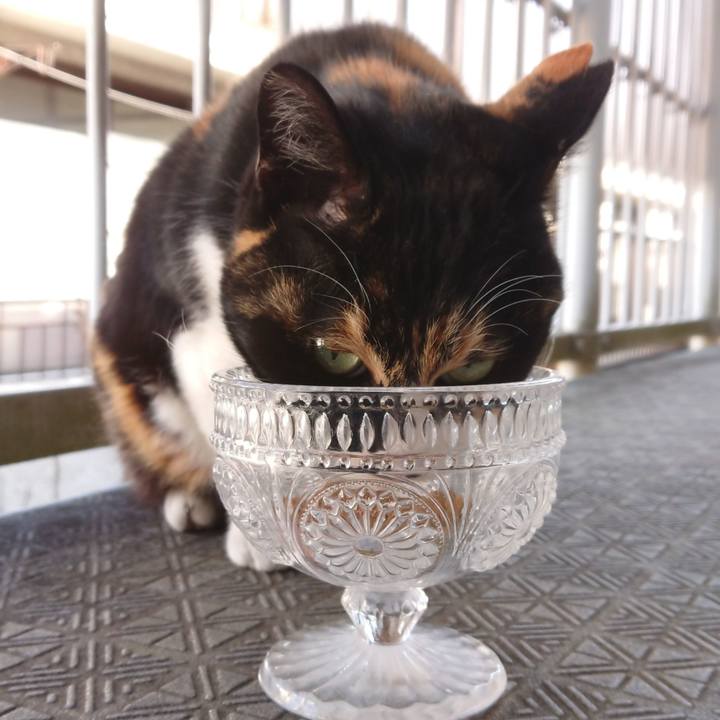 E0df01d7 61f5 468a ac20 bbdf36c10fae 1613004788342