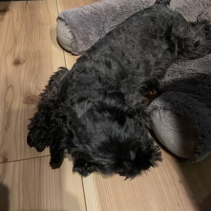 E0df033d 8e86 44e0 ab96 7bbd6596df11 1621002190741