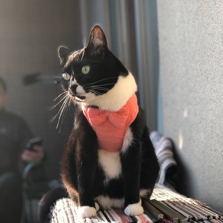 E0df0a7d b21c 4a1b bcd2 43c17228770d 1589858438160