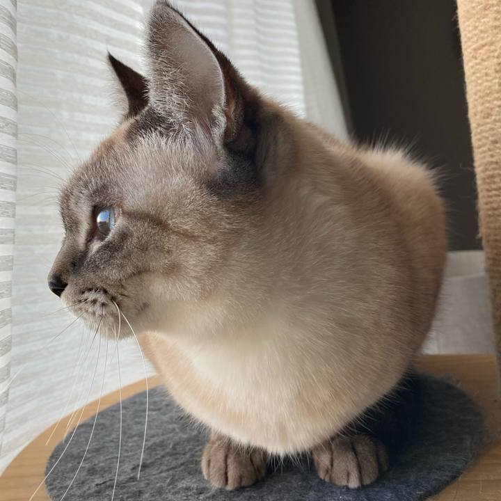 E0df0c74 d3d4 4548 a4e3 c557ca8b25f9 1639178173767