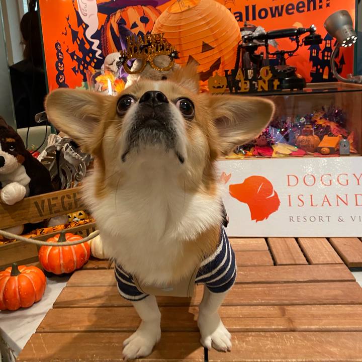 E0df2ea9 b990 456e 8590 80a70e97d54c 1604142251950