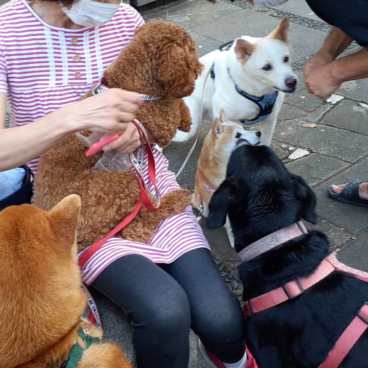 E0df4144 d086 44cb 943d 0c585312d375 1664269771851