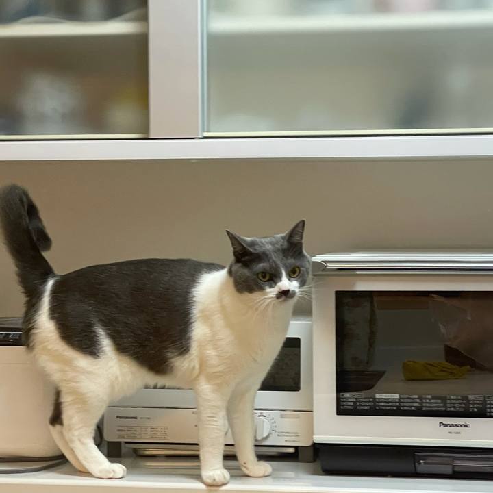 E0df6e96 c1d4 4c70 99a4 2bb6071b374c 1627816577494