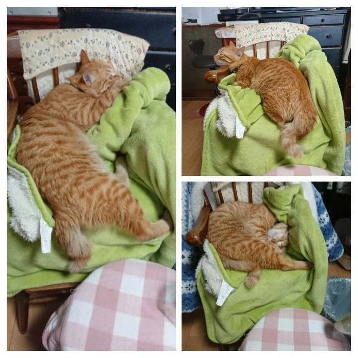 E0df9495 de5f 4dd7 a927 903463131d27 1648455194870