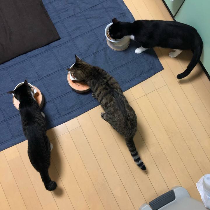 E0df9f0d be4c 4048 ad8c 840c614a48f1 1567972749993