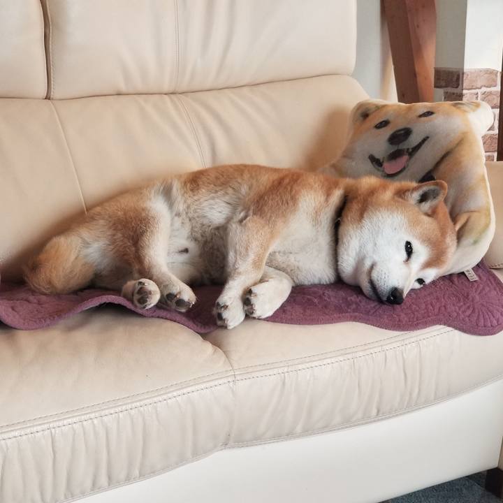 E0dfaf9f 04bb 4516 8438 2e4ff59e544d 1650755521310