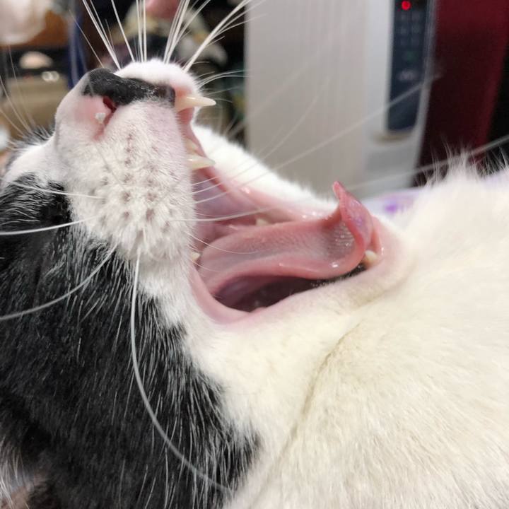 E0dfbfba 714f 4117 b3e9 1a3b09dac7fa 1552708654495