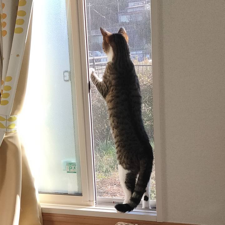 E0dfce0e 9e5b 48a7 a368 61786ca9eea8 1667865741047