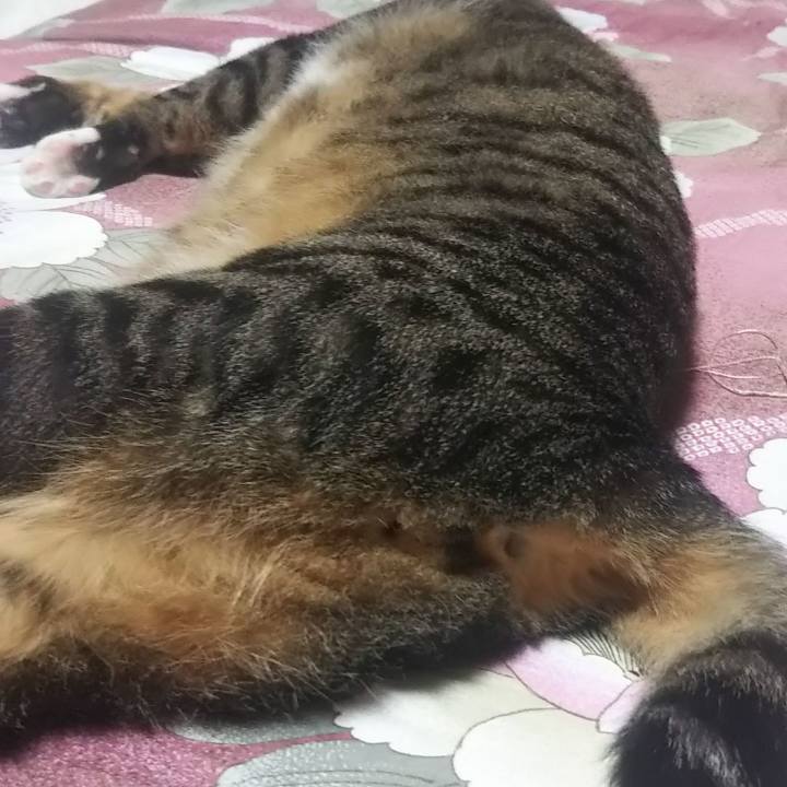 E0dfe0d1 2ba4 4d8f a1fc 990c31922b27 1627832587888